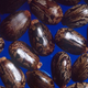 Image for article titled Ten foods in your kitchen that contain gruesome poisons